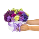 Box fialových květin